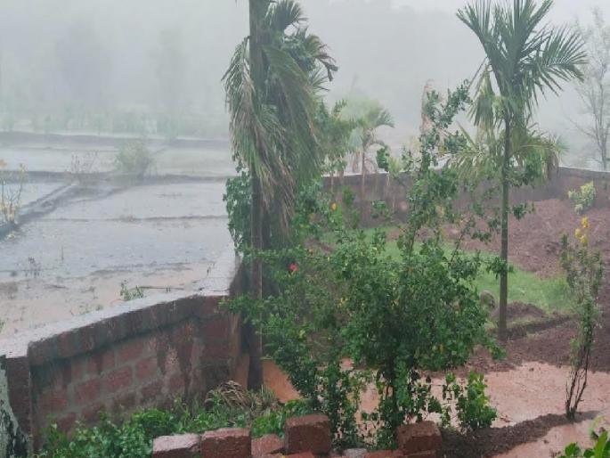 Red alert tomorrow in Sindhudurg district, farmers are relieved as Monsoon activates  | सिंधुदुर्ग जिल्ह्यात उद्या रेड अलर्ट, मान्सून सक्रिय झाल्याने शेतकरी सुखावला  Red alert tomorrow in Sindhudurg district, farmers are relieved as Monsoon activates  | सिंधुदुर्ग जिल्ह्यात उद्या रेड अलर्ट, मान्सून सक्रिय झाल्याने शेतकरी सुखावला