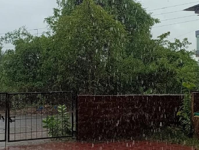 Monsoon has finally returned to Sindhudurg, happy atmosphere among farmers and citizens | अखेर सिंधुदुर्गमध्ये मान्सून परतला, शेतकऱ्यांसह नागरिकांमध्ये आनंदी वातावरण Monsoon has finally returned to Sindhudurg, happy atmosphere among farmers and citizens | अखेर सिंधुदुर्गमध्ये मान्सून परतला, शेतकऱ्यांसह नागरिकांमध्ये आनंदी वातावरण