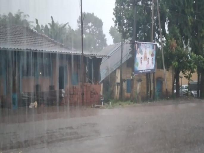 Finally rains are active again in Sindhudurg district, farmers are happy | अखेर सिंधुदुर्ग जिल्ह्यात पाऊस पुन्हा सक्रिय, शेतकरी सुखावला Finally rains are active again in Sindhudurg district, farmers are happy | अखेर सिंधुदुर्ग जिल्ह्यात पाऊस पुन्हा सक्रिय, शेतकरी सुखावला