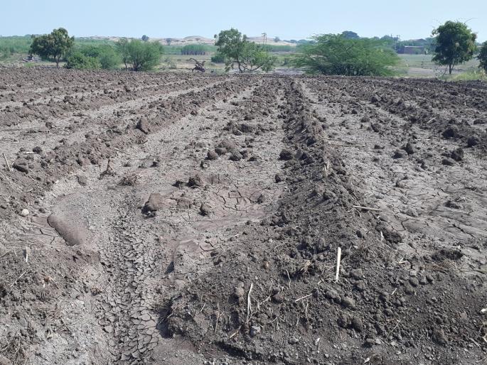 Rain Break 25 percent premium of insurance will be available | पावसाचा खंड; विम्याचा २५ टक्के हप्ता मिळणार Rain Break 25 percent premium of insurance will be available | पावसाचा खंड; विम्याचा २५ टक्के हप्ता मिळणार