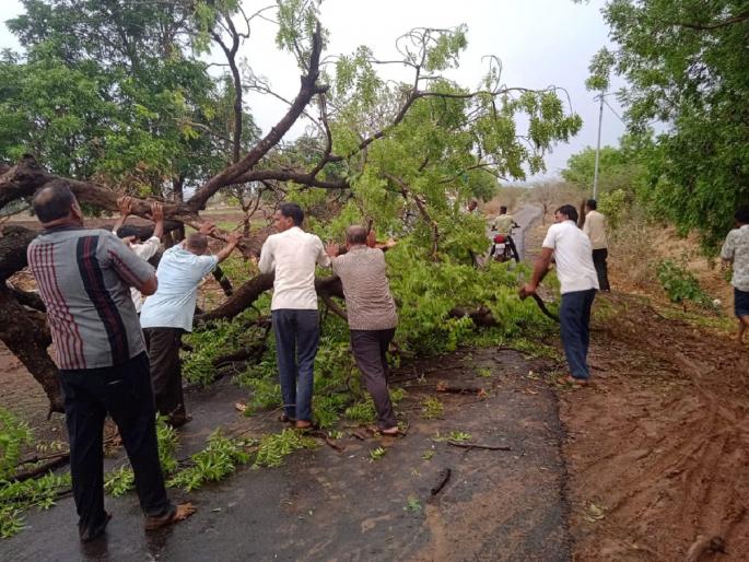 The Aurad area was lashed by unseasonal rains; Trees uprooted, traffic affected | औराद परिसराला अवकाळी पावसाने झोडपले; झाडे उन्मळून पडली, वाहतूक प्रभावित The Aurad area was lashed by unseasonal rains; Trees uprooted, traffic affected | औराद परिसराला अवकाळी पावसाने झोडपले; झाडे उन्मळून पडली, वाहतूक प्रभावित