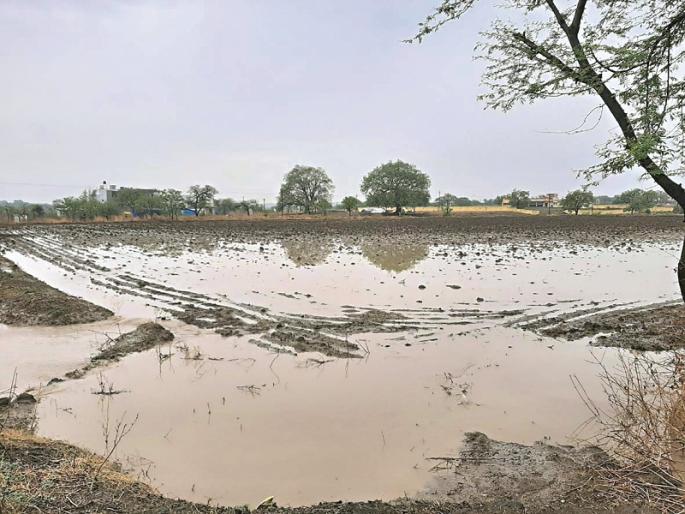 Rain in the Marathwada region; farmer waiting for the big rain | मराठवाड्यात कुठे पाऊस, तर कुठे ऊन; शेतकरी दमदार पावसाच्या प्रतीक्षेत Rain in the Marathwada region; farmer waiting for the big rain | मराठवाड्यात कुठे पाऊस, तर कुठे ऊन; शेतकरी दमदार पावसाच्या प्रतीक्षेत