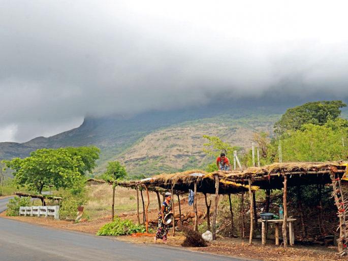 Rain Update In Maharashtra: The beginning of the rains, sowing! | Rain Update In Maharashtra: पावसाची दिंडी, पेरण्यांची नांदी!