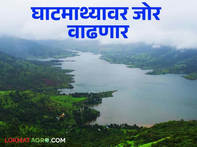 Maharashtra Weather Update: Low pressure zone in Bay of Bengal, what will be the rain forecast for next two days | Maharashtra Weather Update: बंगालच्या उपसागरात कमी दाबाचा पट्टा, कसा असेल पुढील दोन दिवस पावसाचा अंदाज