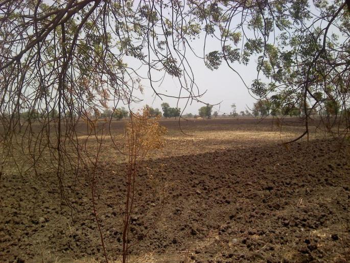 Rains will have to wait till June 23; Suffered from heat | २३ जूनपर्यंत पावसाची चातकाप्रमाणे वाट पाहावी लागेल; उकाड्याने त्रासले लाेक Rains will have to wait till June 23; Suffered from heat | २३ जूनपर्यंत पावसाची चातकाप्रमाणे वाट पाहावी लागेल; उकाड्याने त्रासले लाेक