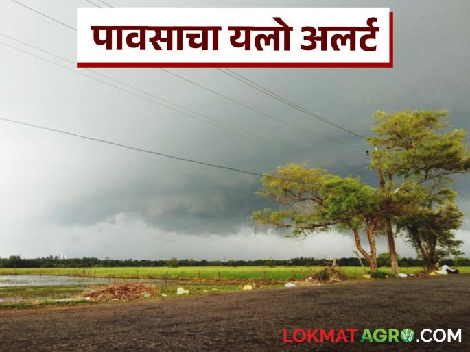 Chance of rain with thunderstorm in the state; Yellow alert for these 7 districts | राज्यात वादळी वाऱ्यासह पावसाची शक्यता; या ७ जिल्ह्यांना यलो अलर्ट Chance of rain with thunderstorm in the state; Yellow alert for these 7 districts | राज्यात वादळी वाऱ्यासह पावसाची शक्यता; या ७ जिल्ह्यांना यलो अलर्ट
