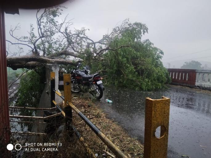 Heavy rain with thunderstorm in Kodoli area | कोडोली परिसरात विजेच्या कडकडाटासह जोरधार पाऊस Heavy rain with thunderstorm in Kodoli area | कोडोली परिसरात विजेच्या कडकडाटासह जोरधार पाऊस