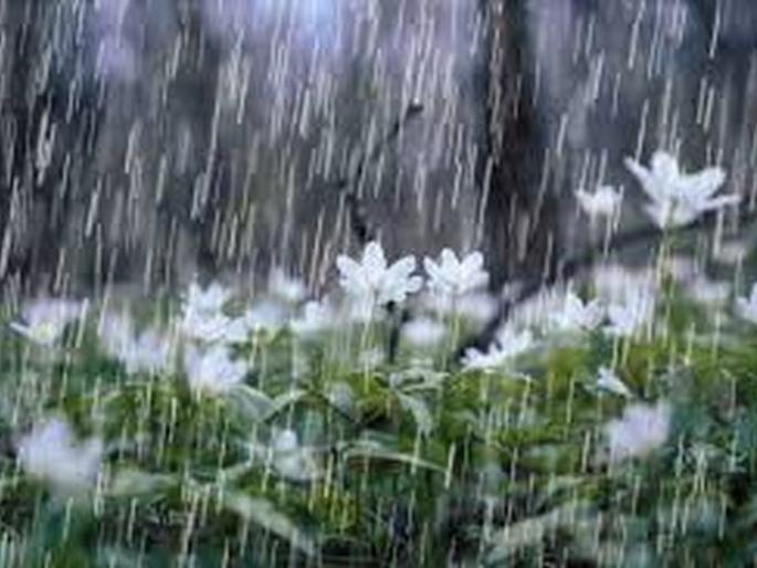 The average rainfall in Buldana district is 59 percent | बुलडाणा जिल्ह्यात पावसाची सरासरी ५९ टक्क्यांवर The average rainfall in Buldana district is 59 percent | बुलडाणा जिल्ह्यात पावसाची सरासरी ५९ टक्क्यांवर