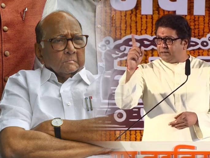 mns raju patil replied ncp chief sharad pawar criticism over raj thackeray | Maharashtra Politics: “आदर देतोय, आदर घ्या, आज बोटं मोजताय, उद्या बोटं मोडाल आणि परवा...”; मनसेचे पवारांना प्रत्युत्तर