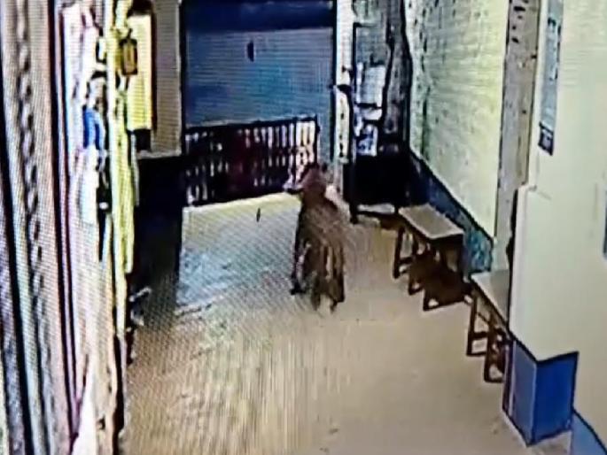 While chasing the dog the leopard entered the Rajapur police station | श्वानाचा पाठलाग करताना बिबट्या शिरला पोलिस स्थानकात While chasing the dog the leopard entered the Rajapur police station | श्वानाचा पाठलाग करताना बिबट्या शिरला पोलिस स्थानकात