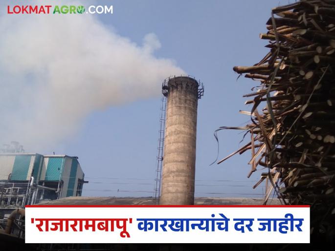 Sugarcane prices announced for all three units of Rajarambapu factories for this year's crushing; How was the price given? | यंदाच्या गाळपासाठी राजारामबापू कारखान्यांच्या तिन्ही युनिटचा ऊस दर जाहीर; कसा दिला दर? Sugarcane prices announced for all three units of Rajarambapu factories for this year's crushing; How was the price given? | यंदाच्या गाळपासाठी राजारामबापू कारखान्यांच्या तिन्ही युनिटचा ऊस दर जाहीर; कसा दिला दर?