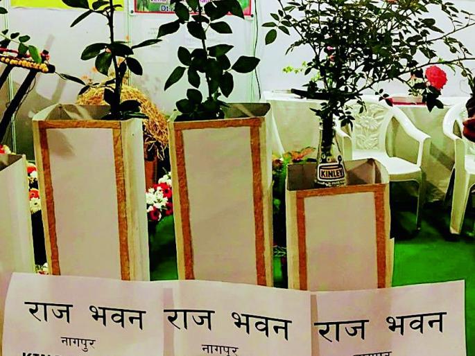 King, Quin and Prince decided as Rajbhavan Rose | राजा, राणी व राजकुमारही ठरले राजभवनचे गुलाब King, Quin and Prince decided as Rajbhavan Rose | राजा, राणी व राजकुमारही ठरले राजभवनचे गुलाब