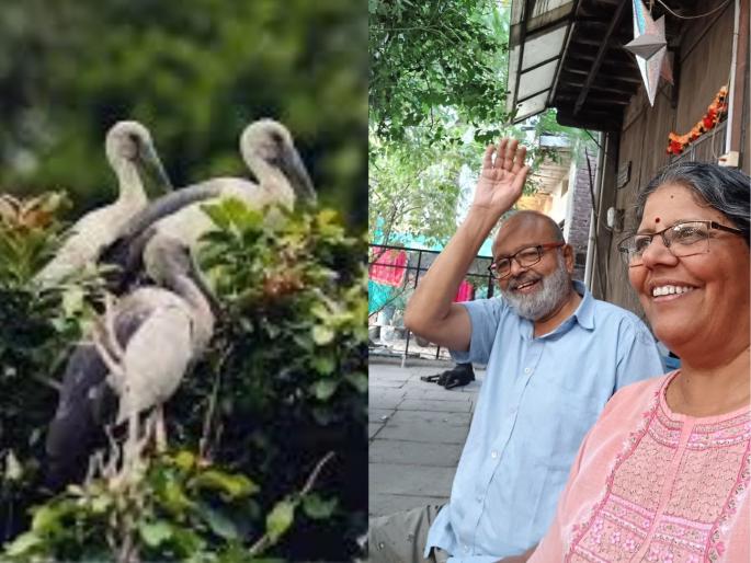 Rajendra gadgil shilpa gadgil, a couple who also take elections for birds what is ebird | पक्ष्यांचीही निवडणूक घेणारे गाडगीळ दाम्पत्य, पक्षी संवर्धन झाला जीवनाचा ध्यास Rajendra gadgil shilpa gadgil, a couple who also take elections for birds what is ebird | पक्ष्यांचीही निवडणूक घेणारे गाडगीळ दाम्पत्य, पक्षी संवर्धन झाला जीवनाचा ध्यास