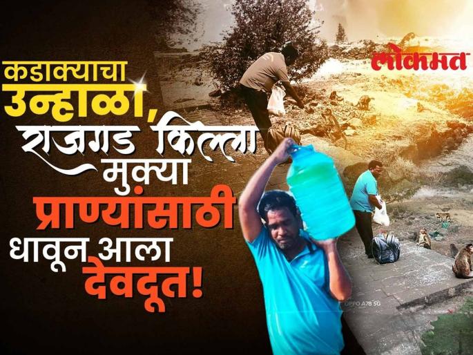 'Devdoot' runs to save the lives of the helpless in the scorching heat of Rajgad | जसा माझा जीव, तसाच त्यांचा जीव...! राजगडावर उन्हाच्या तडाख्यात मुक्या जीवांसाठी धावला ‘देवदूत’ 'Devdoot' runs to save the lives of the helpless in the scorching heat of Rajgad | जसा माझा जीव, तसाच त्यांचा जीव...! राजगडावर उन्हाच्या तडाख्यात मुक्या जीवांसाठी धावला ‘देवदूत’
