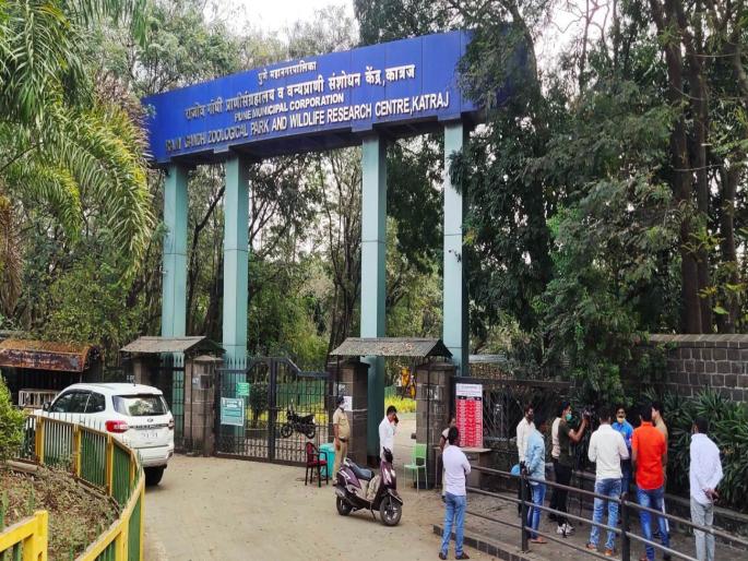 A policeman was punched by a fake policeman at the entrance of Rajiv Gandhi Zoological park | राजीव गांधी प्राणी संग्रहालयाच्या प्रवेशद्वारावर तोतया पोलिसाकडून पोलीस कर्मचाऱ्याला धक्काबुक्की A policeman was punched by a fake policeman at the entrance of Rajiv Gandhi Zoological park | राजीव गांधी प्राणी संग्रहालयाच्या प्रवेशद्वारावर तोतया पोलिसाकडून पोलीस कर्मचाऱ्याला धक्काबुक्की