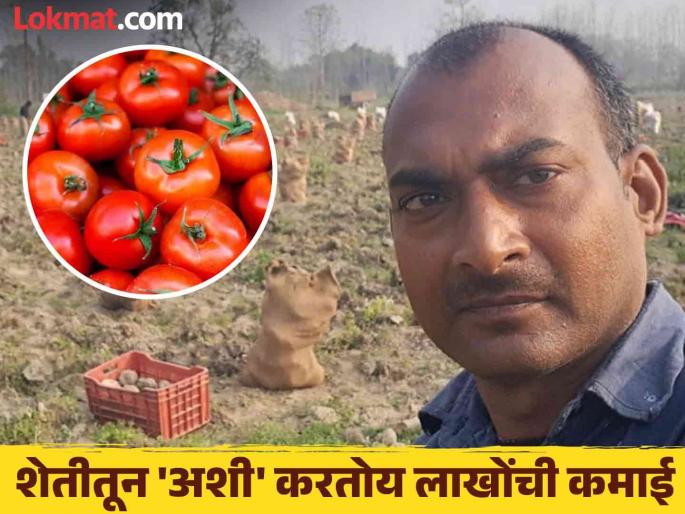 sitapur young farmer rajiv tripathi doing farming after studying ca earning 55 lakhs per year | नेत्रदिपक कामगिरी! CA चं शिक्षण घेतल्यानंतर 'तो' शेतीकडे वळला; आता ५५ लाखांचा टर्नओव्हर sitapur young farmer rajiv tripathi doing farming after studying ca earning 55 lakhs per year | नेत्रदिपक कामगिरी! CA चं शिक्षण घेतल्यानंतर 'तो' शेतीकडे वळला; आता ५५ लाखांचा टर्नओव्हर