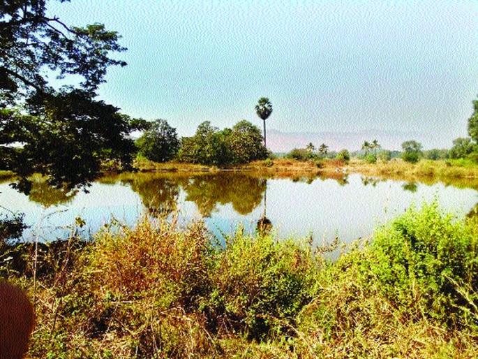 Do the repairs first, then release the water in the canal | आधी दुरुस्ती करा मगच कालव्यात पाणी सोडा Do the repairs first, then release the water in the canal | आधी दुरुस्ती करा मगच कालव्यात पाणी सोडा