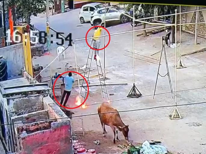 Two people received a severe electric shock while setting up a tent in a temple, CPR saved their lives | मंदिरात टेंट लावताना दोघांना विजेचा तीव्र धक्का, सीपीआरने वाचवला जीव Two people received a severe electric shock while setting up a tent in a temple, CPR saved their lives | मंदिरात टेंट लावताना दोघांना विजेचा तीव्र धक्का, सीपीआरने वाचवला जीव