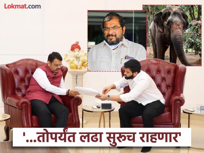 'Don't trap Mahadevi elephant in the clutches of the law till then the fight will continue Raju Shetty clearly said | 'कायद्याच्या कचाट्यात महादेवी हत्तीला अडकवू नका, ... तोपर्यंत लढा सुरूच राहणार'; राजू शेट्टींनी स्पष्टच सांगितलं 'Don't trap Mahadevi elephant in the clutches of the law till then the fight will continue Raju Shetty clearly said | 'कायद्याच्या कचाट्यात महादेवी हत्तीला अडकवू नका, ... तोपर्यंत लढा सुरूच राहणार'; राजू शेट्टींनी स्पष्टच सांगितलं