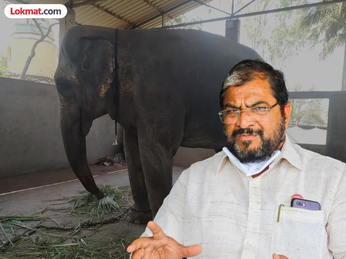 pune news Raju Shetty stance on Mahadevi Hattini is two-faced; Bhausaheb Andhale criticizes | महादेवी हत्तिणीबाबत राजू शेट्टी यांची भूमिका दुटप्पी; निवृत्त पोलिस अधिकारी आंधळकर यांनी केले गंभीर आरोप pune news Raju Shetty stance on Mahadevi Hattini is two-faced; Bhausaheb Andhale criticizes | महादेवी हत्तिणीबाबत राजू शेट्टी यांची भूमिका दुटप्पी; निवृत्त पोलिस अधिकारी आंधळकर यांनी केले गंभीर आरोप