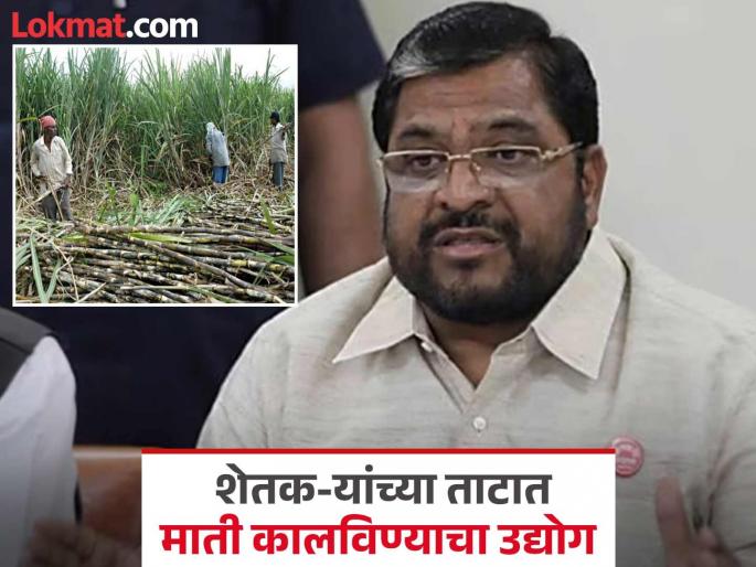 State Sugar Association's industry of putting dirt on the plates of sugarcane farmers; Former MP Raju Shetty criticizes | राज्य साखर संघाकडून ऊस उत्पादक शेतक-यांच्या ताटात माती कालविण्याचा उद्योग; माजी खासदार राजु शेट्टी यांची टीका State Sugar Association's industry of putting dirt on the plates of sugarcane farmers; Former MP Raju Shetty criticizes | राज्य साखर संघाकडून ऊस उत्पादक शेतक-यांच्या ताटात माती कालविण्याचा उद्योग; माजी खासदार राजु शेट्टी यांची टीका