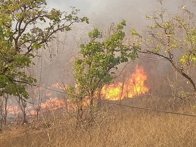 Fire in Rajur Ghat; thounds of tree burnt | राजूर घाटात आगीचे तांडव; वनसंपदा नष्ट Fire in Rajur Ghat; thounds of tree burnt | राजूर घाटात आगीचे तांडव; वनसंपदा नष्ट
