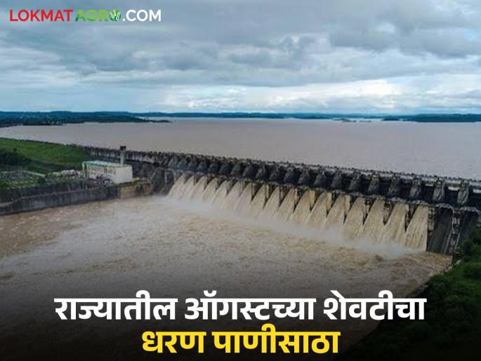 Latest news Maharashtra dam Ujani, 15 dams including Bhandardra 100 percent full, Jayakwadi dam 99 percent, read detailed water storage | उजनी, भंडारदरासह 15 धरणे 100 टक्के भरली, जायकवाडी 99 टक्क्यांवर, वाचा सविस्तर पाणीसाठा 