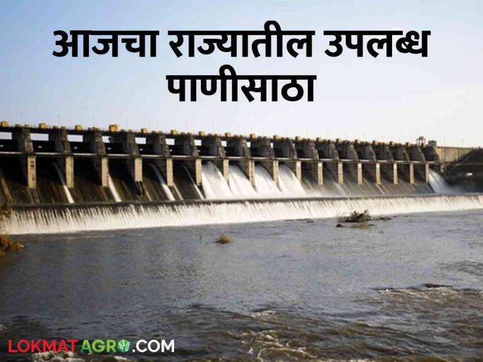 Latest News Available water storage in dams in maharashtra in june last week | Maharashtra Dam Storage : राज्यात जूनच्या शेवटच्या आठवड्यात कुठल्या धरणात किती पाणी? वाचा सविस्तर 