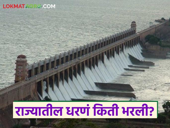 Latest news Four dams 100 percent full, 13 dams above 90 percent, see maharashtra dams water level today | Maharashtra Dam : चार धरणे भरली, 13 धरणे 90 टक्क्यांच्यावर, वाचा राज्यातील धरणं किती भरली? Latest news Four dams 100 percent full, 13 dams above 90 percent, see maharashtra dams water level today | Maharashtra Dam : चार धरणे भरली, 13 धरणे 90 टक्क्यांच्यावर, वाचा राज्यातील धरणं किती भरली?