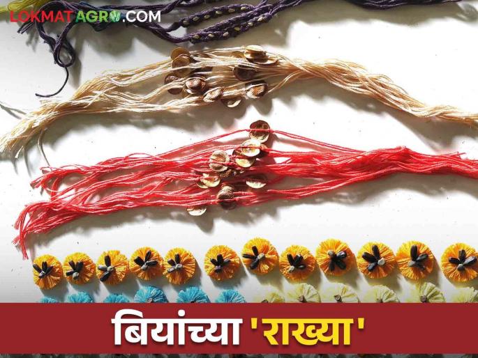 Beej Rakhi: Beej Rakhi can be made from seeds | Beej Rakhi : काय सांगताय बियांपासून राखी बनविता येते Beej Rakhi: Beej Rakhi can be made from seeds | Beej Rakhi : काय सांगताय बियांपासून राखी बनविता येते