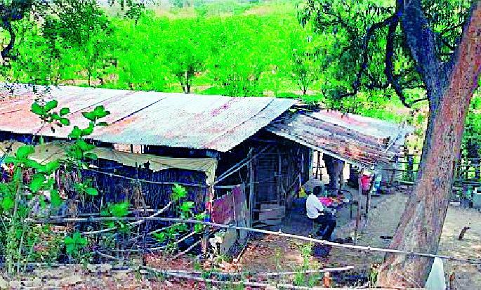 Guard commits suicide by killing woman, incident in Dapoli Shivara of Amravati | महिलेची हत्या करून रखवालदाराची आत्महत्या, अमरावतीच्या दापोली शिवारातील घटना Guard commits suicide by killing woman, incident in Dapoli Shivara of Amravati | महिलेची हत्या करून रखवालदाराची आत्महत्या, अमरावतीच्या दापोली शिवारातील घटना