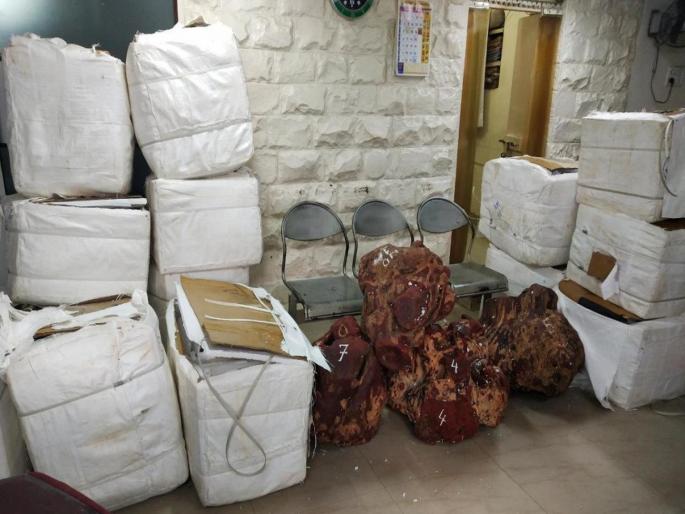 Gang arrested for smuggling red sandalwood | कोट्यावधीच्या रक्तचंदनाची तस्करी करणाऱ्या टोळीस अटक