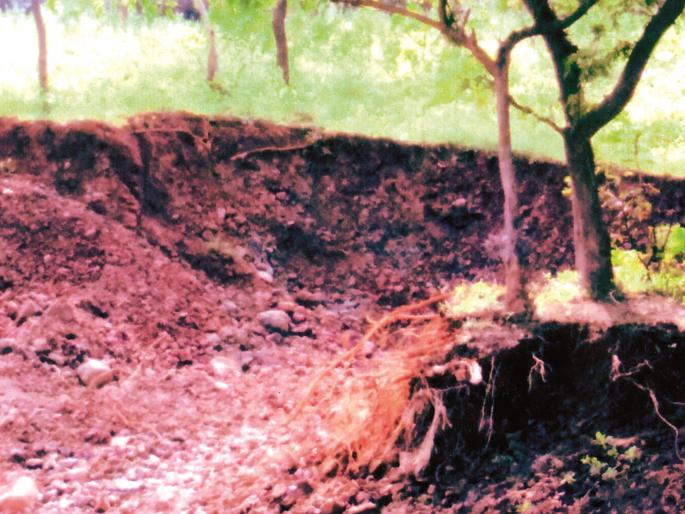 Encroachment on 28 acres of government land at Ralegan Mhoba | राळेगण म्हसोबा येथील २८ एकर सरकारी जमिनीवर अतिक्रमण