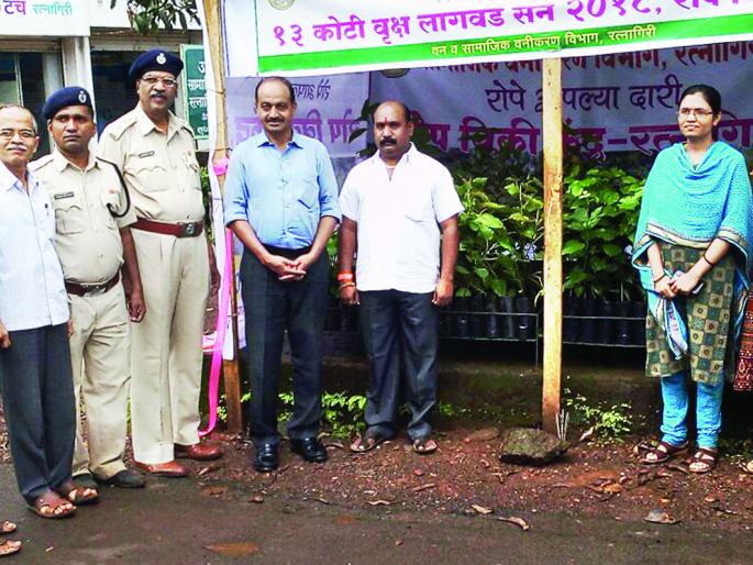 Inaugurating the seedlings sale center in Ratnagiri, aiming to plant 20 lakh 54 thousand trees | रत्नागिरीत रोपे विक्री केंद्राचे उद्घाटन, २० लाख ५४ हजार झाडे लावण्याचे उद्दिष्ट Inaugurating the seedlings sale center in Ratnagiri, aiming to plant 20 lakh 54 thousand trees | रत्नागिरीत रोपे विक्री केंद्राचे उद्घाटन, २० लाख ५४ हजार झाडे लावण्याचे उद्दिष्ट