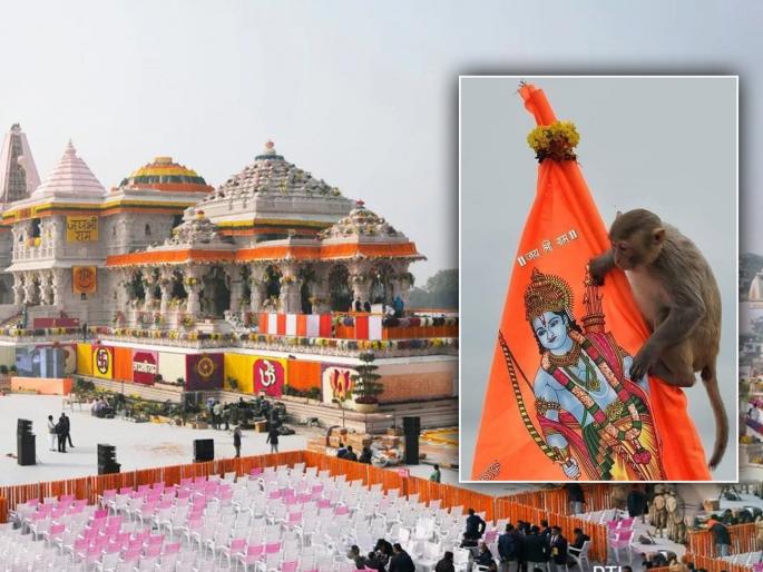 shri ram janm bhoomi tirtha kshetra trust told about devotees experience the miraculous incident in ram mandir ayodhya | राम मंदिरात ‘हनुमान’ प्रकटले! रामललाचे दर्शन घेतले, अद्भूत घटनेने भक्तगण नतमस्तक झाले shri ram janm bhoomi tirtha kshetra trust told about devotees experience the miraculous incident in ram mandir ayodhya | राम मंदिरात ‘हनुमान’ प्रकटले! रामललाचे दर्शन घेतले, अद्भूत घटनेने भक्तगण नतमस्तक झाले