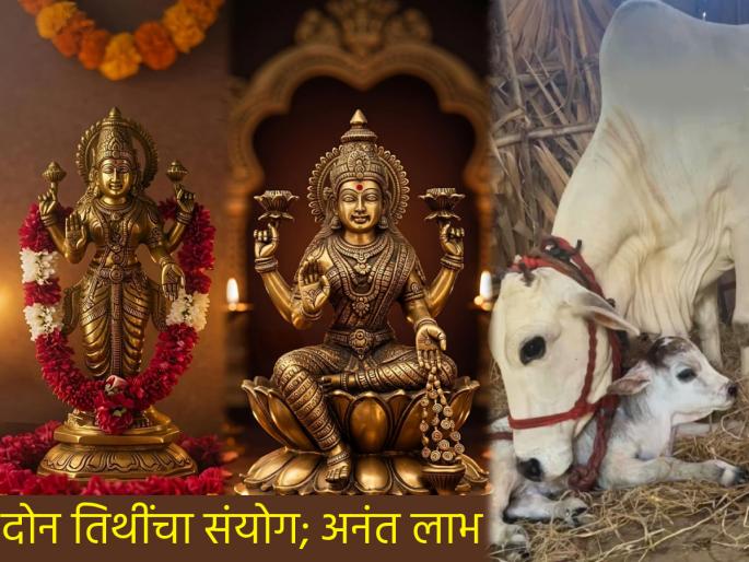 Diwali 2025: October 17: Rama Ekadashi and Vasubaras (Govatsa Dwadashi) together; How to perform puja? Read the benefits! | Vasubaras 2025: रमा एकादशी आणि वसुबारस (गोवत्स द्वादशी) एकत्र; कशी करावी पूजा? वाचा लाभ! Diwali 2025: October 17: Rama Ekadashi and Vasubaras (Govatsa Dwadashi) together; How to perform puja? Read the benefits! | Vasubaras 2025: रमा एकादशी आणि वसुबारस (गोवत्स द्वादशी) एकत्र; कशी करावी पूजा? वाचा लाभ!