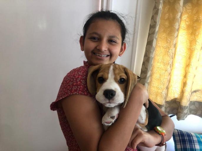 where is the time to Bored? trying new thins..write about it. | kill कंटाळा ! - माझ्या घरी सिम्बा आहे , कंटाळा येईल कसा ? where is the time to Bored? trying new thins..write about it. | kill कंटाळा ! - माझ्या घरी सिम्बा आहे , कंटाळा येईल कसा ?