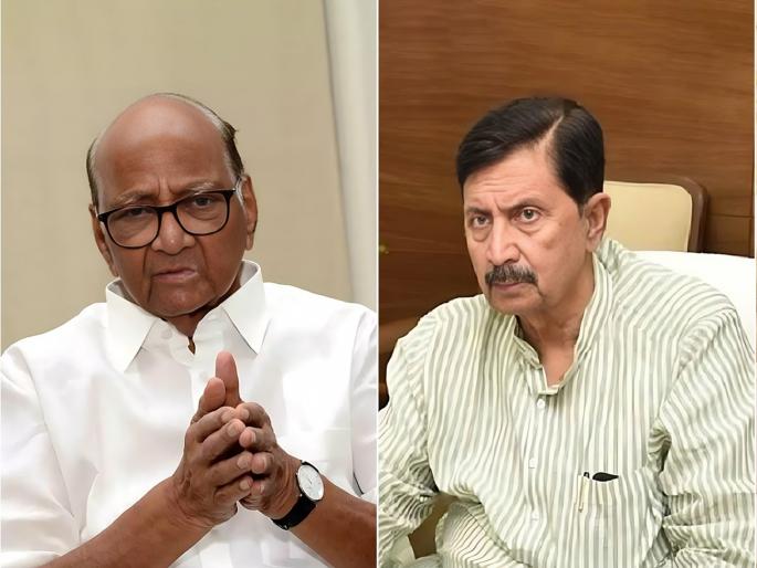 The royal family is finally decided will join sharad pawar ncp Under the leadership of Sanjivraje | राजेगटाचं अखेर ठरलं! संजीवराजेंच्या नेतृत्वात तुतारी हाती घेणार; रामराजे नक्की काय करणार? The royal family is finally decided will join sharad pawar ncp Under the leadership of Sanjivraje | राजेगटाचं अखेर ठरलं! संजीवराजेंच्या नेतृत्वात तुतारी हाती घेणार; रामराजे नक्की काय करणार?