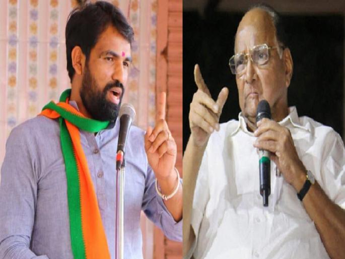 Maharashtra Budget Session, Ram Satpute Sharad Pawar Ajit Pawar, Single mention of Sharad Pawar by Ram Satput | राम सातपुतेंकडून शरद पवारांचा एकेरी उल्लेख; अजित पवार म्हणाले- 'तुमचेही वरिष्ठ नेते आहेत...' Maharashtra Budget Session, Ram Satpute Sharad Pawar Ajit Pawar, Single mention of Sharad Pawar by Ram Satput | राम सातपुतेंकडून शरद पवारांचा एकेरी उल्लेख; अजित पवार म्हणाले- 'तुमचेही वरिष्ठ नेते आहेत...'