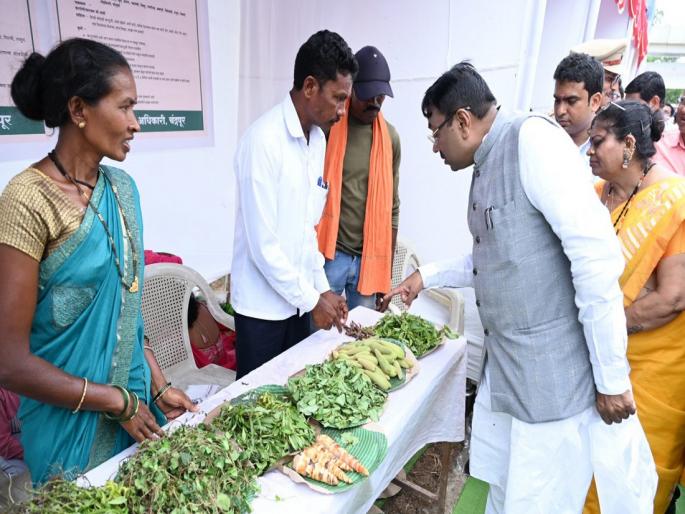 Special importance of wild vegetables for physical and mental health | शारीरिक व मानसिक स्वास्थ्यासाठी रानभाज्याचे विशेष महत्व Special importance of wild vegetables for physical and mental health | शारीरिक व मानसिक स्वास्थ्यासाठी रानभाज्याचे विशेष महत्व