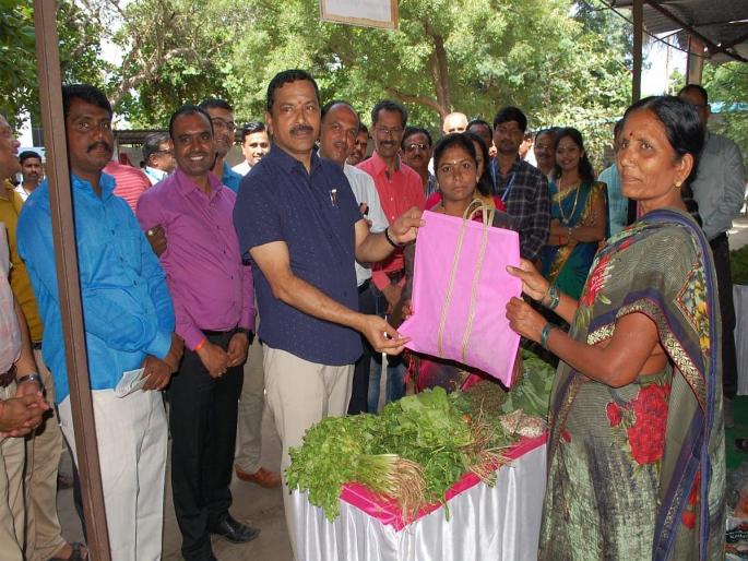 Solapur: Solapur pattern of vegetable festival across the state, order of state govt | Solapur: रानभाज्या महोत्सवाचा सोलापूर पॅटर्न राज्यभरात, राज्य शासनाचा आदेश Solapur: Solapur pattern of vegetable festival across the state, order of state govt | Solapur: रानभाज्या महोत्सवाचा सोलापूर पॅटर्न राज्यभरात, राज्य शासनाचा आदेश