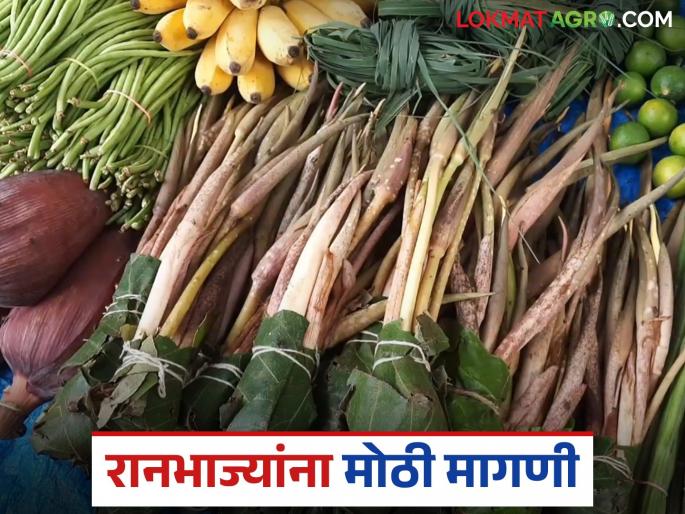 Ranbahjya : Demand for wild vegetables, which are not only tasty but also beneficial for health, has increased; prices are also affordable | Ranbhajya : चवीलाच नाही तर आरोग्यासाठी गुणकारी रानभाज्यांना वाढली मागणी; दरही परवडणारे