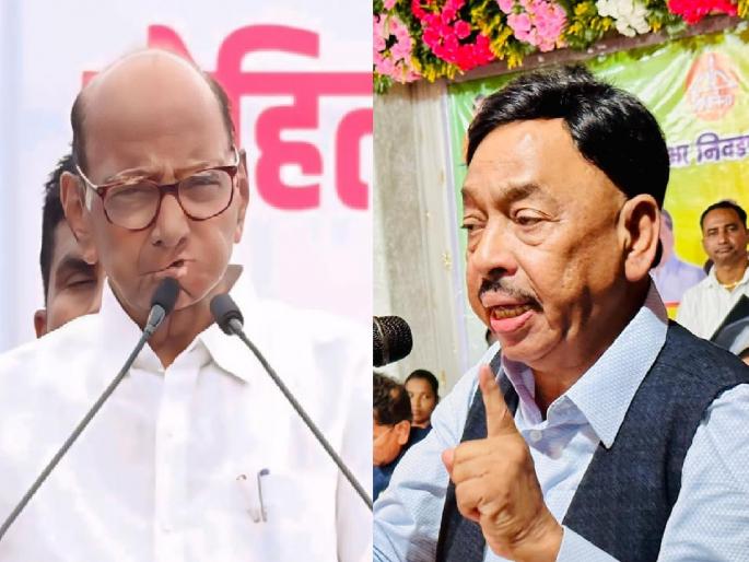 Sharad Pawar four times Chief Minister, but the issue of reservation remains Allegation of MP Narayan Rane | शरद पवार चारवेळा मुख्यमंत्री, पण आरक्षणाचा प्रश्न भिजतच; खासदार नारायण राणे यांचा आरोप Sharad Pawar four times Chief Minister, but the issue of reservation remains Allegation of MP Narayan Rane | शरद पवार चारवेळा मुख्यमंत्री, पण आरक्षणाचा प्रश्न भिजतच; खासदार नारायण राणे यांचा आरोप