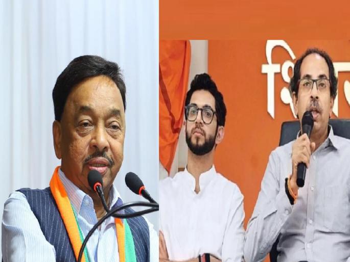 Thackeray's father and son will soon go to jail in connection with the drug scam in the Mumbai Municipal Corporation says Narayan Rane | यापुढे भाजपचाच खासदार, तुम्हाला संधी नाही; नारायण राणेंचा विनायक राऊतांना इशारा 