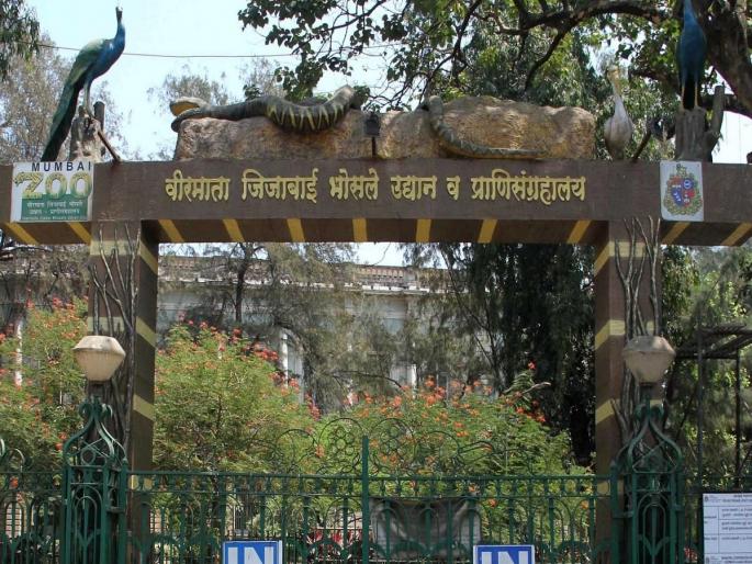 Lessons in urban agriculture will be available in veer mata jijabai bhosale zoo mumbai | राणीच्या बागेत मिळणार शहरी शेतीचे धडे Lessons in urban agriculture will be available in veer mata jijabai bhosale zoo mumbai | राणीच्या बागेत मिळणार शहरी शेतीचे धडे