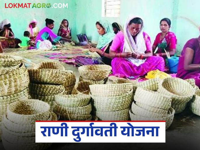 latest news Adivasi Women Empowerment: Read the opportunity to apply for the Rani Durgavati Scheme for women empowerment in detail. | Adivasi Women Empowerment : महिला सक्षमीकरणासाठी राणी दुर्गावती योजनेत अर्ज करण्याची संधी वाचा सविस्तर latest news Adivasi Women Empowerment: Read the opportunity to apply for the Rani Durgavati Scheme for women empowerment in detail. | Adivasi Women Empowerment : महिला सक्षमीकरणासाठी राणी दुर्गावती योजनेत अर्ज करण्याची संधी वाचा सविस्तर