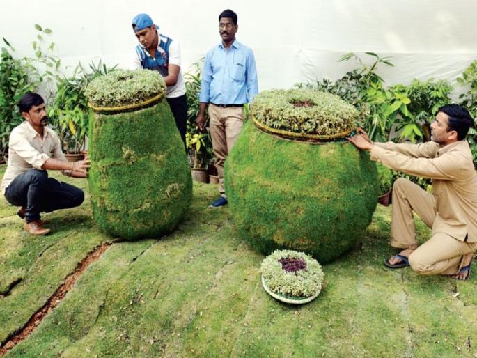 In the Queen's garden, clarinet, flute and guitar made from wreaths and flowers | राणीच्या बागेत पाना-फुलांपासून बनली सनई, बासरी आणि गिटार In the Queen's garden, clarinet, flute and guitar made from wreaths and flowers | राणीच्या बागेत पाना-फुलांपासून बनली सनई, बासरी आणि गिटार