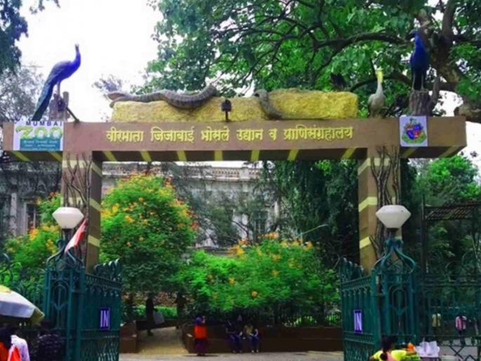 Special Article by Ramdas Bhatkal The Story of the Birth of a Book Ranichi Baug Has Lasted for Five Decades | विशेष लेख: पुस्तकाच्या जन्माची गोष्ट - पाच दशकांपासून अस्तित्व टिकवून राहिलेली 'राणीची बाग' Special Article by Ramdas Bhatkal The Story of the Birth of a Book Ranichi Baug Has Lasted for Five Decades | विशेष लेख: पुस्तकाच्या जन्माची गोष्ट - पाच दशकांपासून अस्तित्व टिकवून राहिलेली 'राणीची बाग'