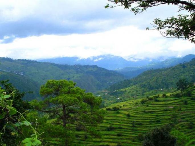 Ranikhet is perfect place for solo travellers | कमी बजेटमध्ये एकट्याने फिरण्यासाठी खास आहे रानीखेत डेस्टीनेशन! Ranikhet is perfect place for solo travellers | कमी बजेटमध्ये एकट्याने फिरण्यासाठी खास आहे रानीखेत डेस्टीनेशन!