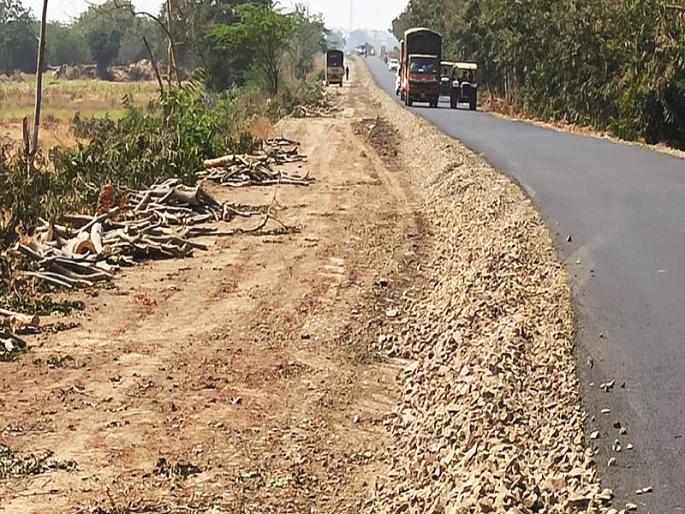 Thousands of trees slaughtered for the Bhigavan-Amarapur route; Old tree resources extinct | भिगवण-अमरापूर मार्गासाठी हजारो वृक्षांची कत्तल; जुनी वृक्षसंपदा नामशेष
